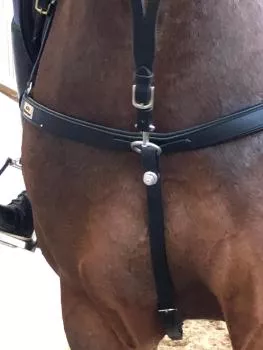 5-Point Breastplate „Milano“